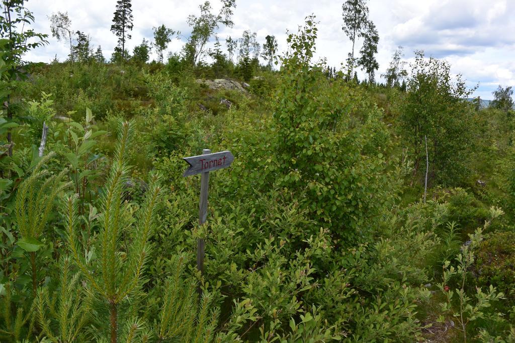 Mieps Huset Dalarna Holiday Kullen  Екстериор снимка