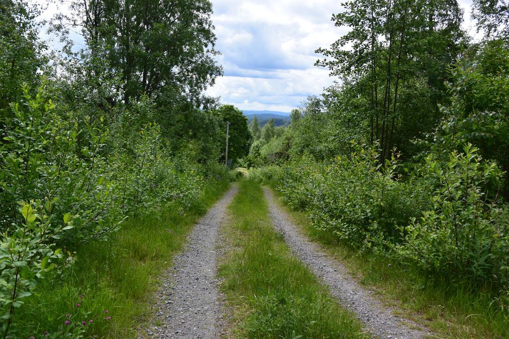 Mieps Huset Dalarna Holiday Kullen  Екстериор снимка